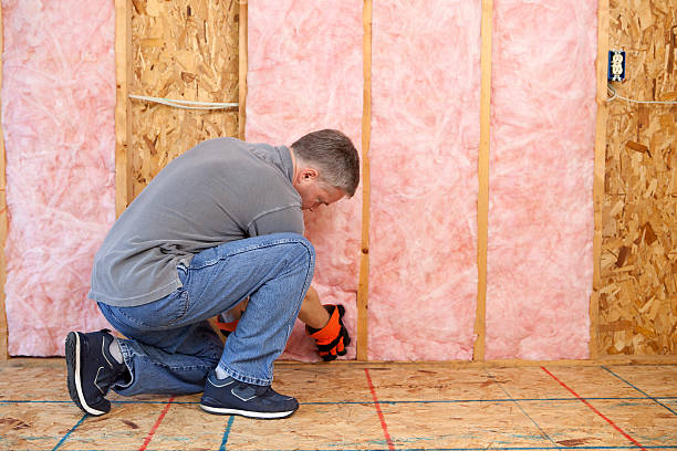 Best Commercial Insulation in Orange City, IA
