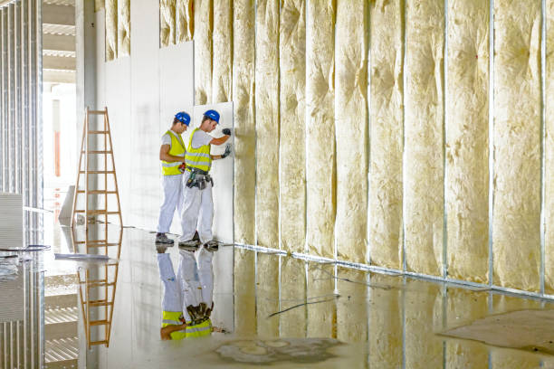 Best Commercial Insulation in Orange City, IA